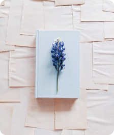 faculty members image